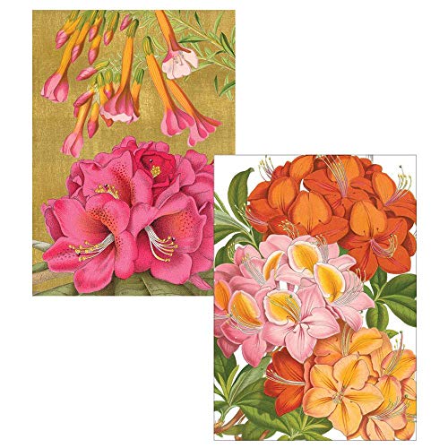 Caspari Jefferson s Garden Study Boxed Note Cards - 16 Notecards & Envelopes