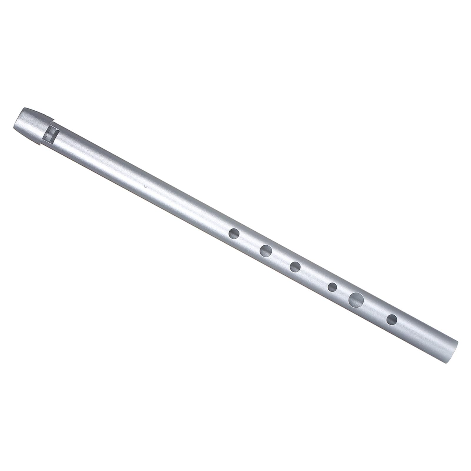 Sifflet Irlandais Traditionnel en étain pour Débutants, Facile à Jouer, clé de D, Instrument de Musique à Vent pour Débutants, Matériau étui Transparent, adapté aux, Intermédiaires et (Clé