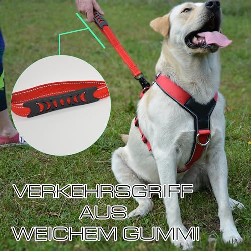 ILII Hundeleine Verstellbar (1,25m-1,5m), Reflektierend Bungee Hundeleine mit 2 Gepolsterten Griffen, Autosicherheitsgurt, Hundeleine mittelgroße und große Hunde