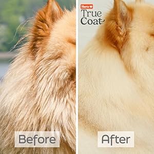 New-Hartz-True-Coat-Thick-Coat-Dog-Shampoo-Desheds-Softens-with-Oat-Milk-Coconut-Oil-Aloe - Cucciolini Doodles   New-Hartz-True-Coat-Thick-Coat-Dog-Shampoo-Desheds-Softens-with-Oat-Milk-Coconut-Oil-Aloe