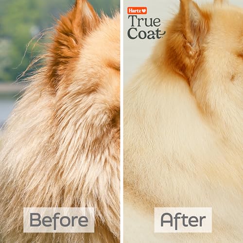 New-Hartz-True-Coat-Thick-Coat-Dog-Shampoo-Desheds-Softens-with-Oat-Milk-Coconut-Oil-Aloe - Cucciolini Doodles   New-Hartz-True-Coat-Thick-Coat-Dog-Shampoo-Desheds-Softens-with-Oat-Milk-Coconut-Oil-Aloe
