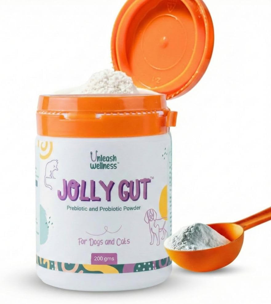 Jolly Gut® Pre & Probiotic Powder 200g, for Itching, Paw Licking, Diarrhea & Vomiting, Improves Digestion, Gut Health & Immunity, Scientifically Formulated, Tasteless Easy Daily Supplement