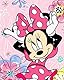Jerry Fabrics Disney Minnie Mouse Duschtuch Strandtuch Badetuch 70 x 140 cm, Mehrfarbig