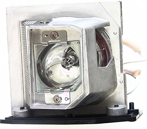 Preisvergleich Produktbild PHROG7 Ersatzlampe für ACER EC.K0700.001 mit Gehäuse