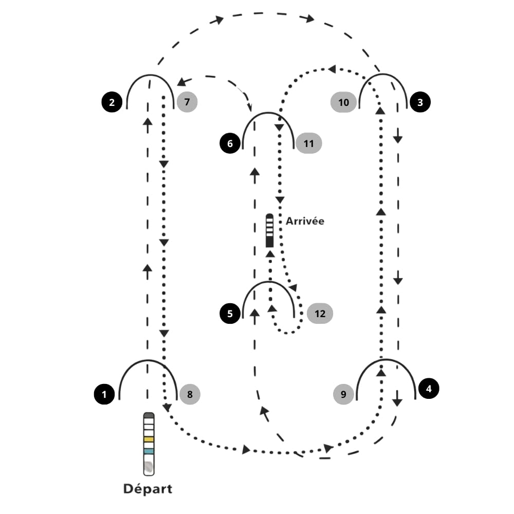 Jeu de Croquet en Bois pour 4 Joueurs, avec Maillets, Boules, Arceaux Métalliques et Filet de Rangement, Jeu de Jardin