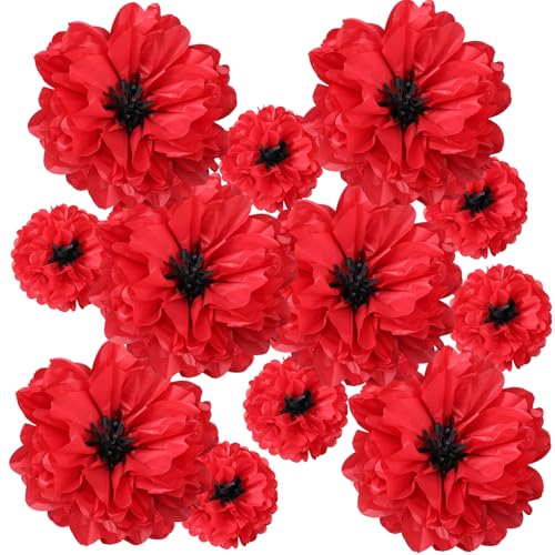 Image of TaoBary Large Colorful Tissue Paper Flowers Giant Fiesta Paper Pom Poms Classroom Wall Decor Mexican Birthday Party Decorations Wedding Backdrop(20 inch and 10 inch,Red, Black,12 Pcs)