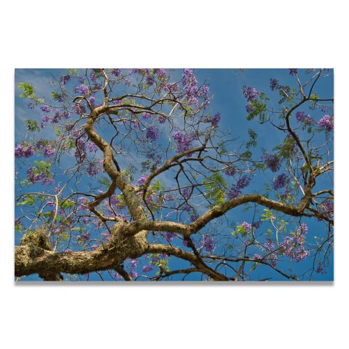 Decoración de pared moderna para salones pequeños con lienzos de montaña