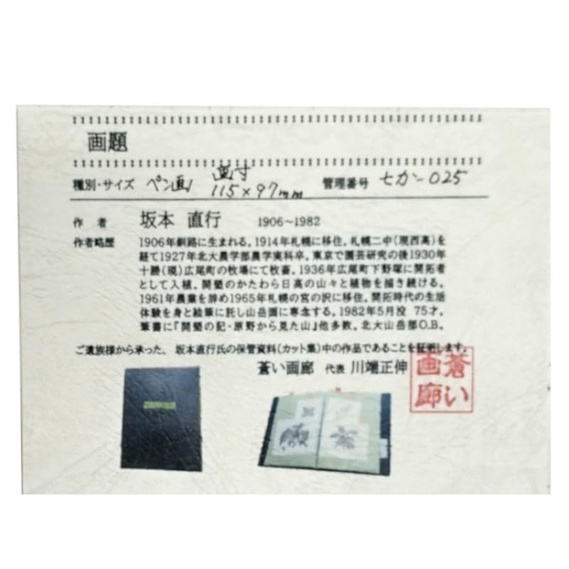 ☆坂本直行☆「 題名不明 」ペン画　インチサイズ　未使用！ Amazon.co.jp: 坂本直行「 題名不明 」ペン画 インチサイズ
