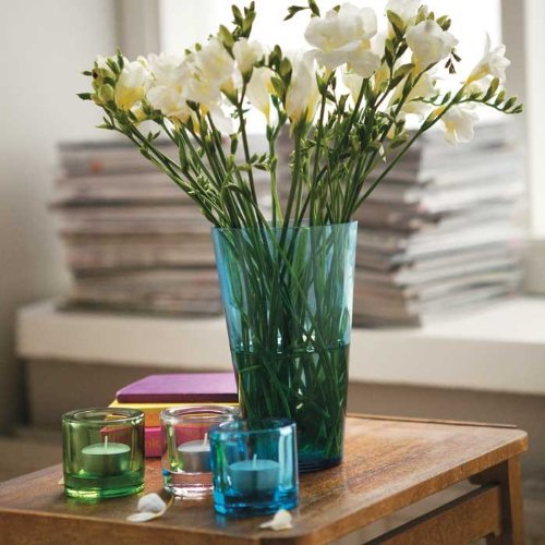 Amazon.co.jp: 【正規輸入品】 iittala (イッタラ) Kivi (キビ