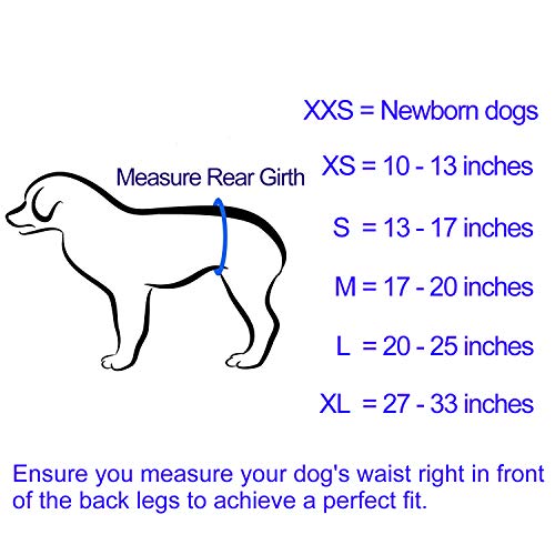 In Hand Washable Male Dog Diapers(Pack Of 3), Premium Reusable Belly Bands For Male Dogs, Durable Male Dog Belly Wrap, Comfy Doggie Diapers #TOP5