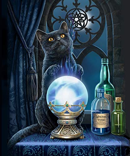 Nu Trendz Signature Collection Lisa Parker Licensed Super Soft Throw Blanket with Sherpa Lining 50"x 60" (The Witches Apprentice)