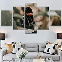 SIGNWIN 5 Panel Canvas Wall Art Birds Butterfly Closeup Colorful Contemporary Home Office Modern Art Multicolor Photography for Home Decorations Ready to Hang - 60