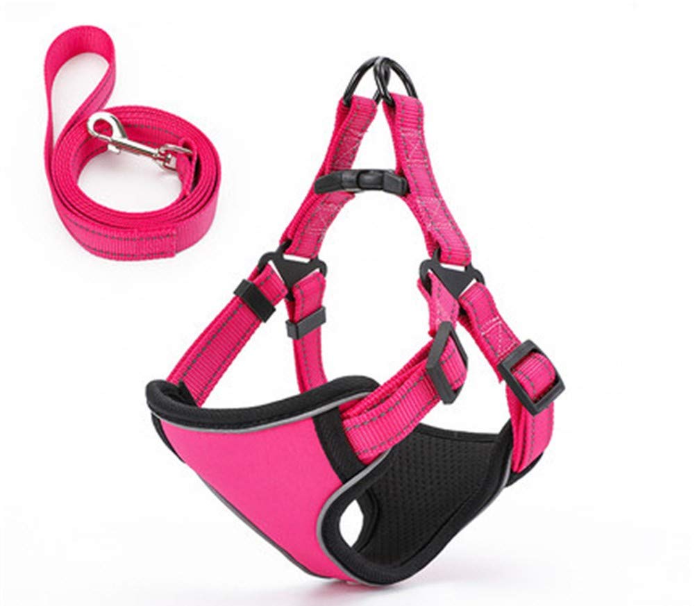 Laisse pour chien husky sibérien et grand chien avec harnais L