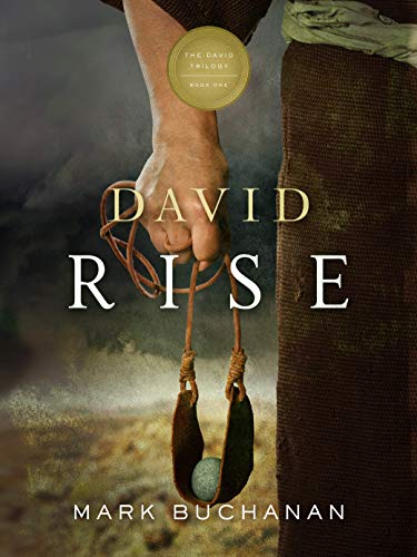 David: Rise (The David Trilogy Book 1)