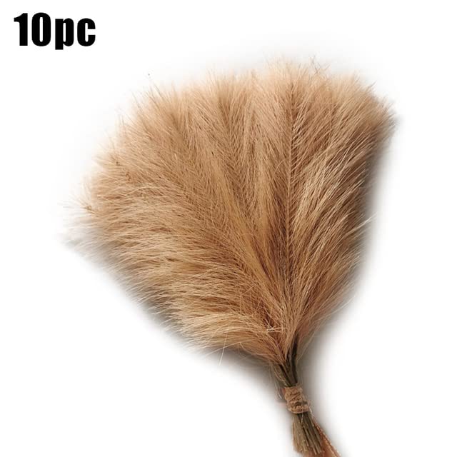 10Pcs Artificial Pampas Grass Bouquet for Home Wedding Decoration Party Room Decor Bedroom DIY Flower Wall Vase Fake Plant Reed About This Item (Light Coffee)