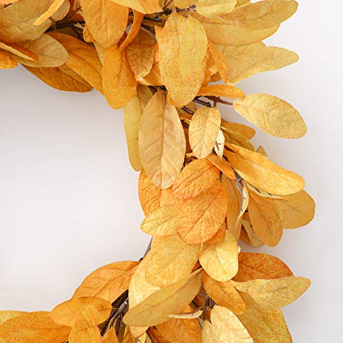 image for YNYLCHMX Fall Wreaths for Front Door, 18