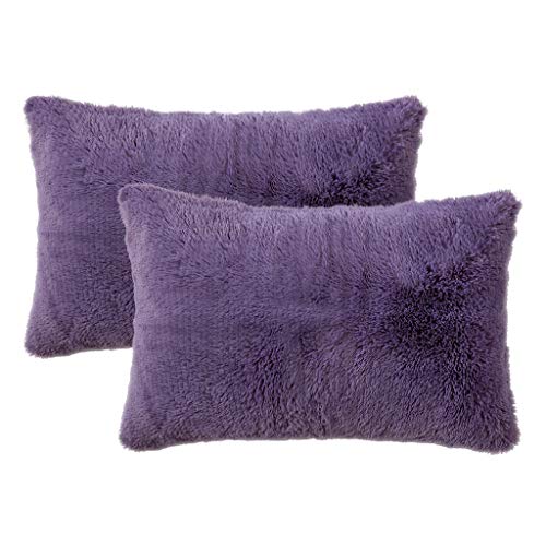LIFEREVO 2 Pack Shaggy Plush Faux Fur Decorative Throw Pillow Cover Velvety Soft
