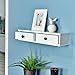 WELLAND Floating Shelves Wall-Mounted Storage Shelf 2 Drawers Entryway White Wall Shelf, A/V Components Other Media Accessories (24.5inch)