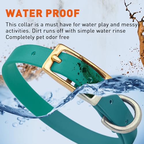 Image of Viper Biothane Heavy Duty Waterproof Dog Collar Strong Coated Nylon Webbing w /Solid Brass Hardware Odor-Proof Easy to Clean High Performance Fits Small Medium or Large Dogs, Blue Aqua