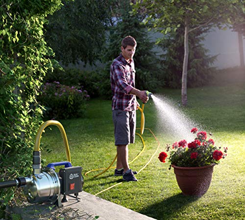 AR Blue Clean Pompa Autoadescante ARGP 800X per Acque Chiare (800 W, Portata max. 3.500 l/h, Prevalenza max. 38 m) - 2