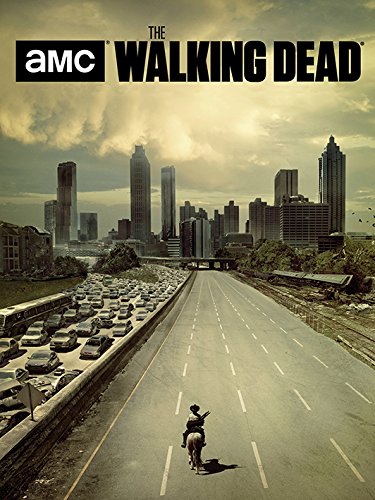 Toile Walking Dead WDC100074 : l'idée cadeau idéale de 60x80 cm pour fan de la série