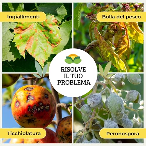 Albagarden - Ossicloruro Di Rame effetto Fungicida per Piante - Verderame e Concime Contro Malattie come Peronospora, Bolla del Pesco, Oidio - Liquido x 1 kg - 5