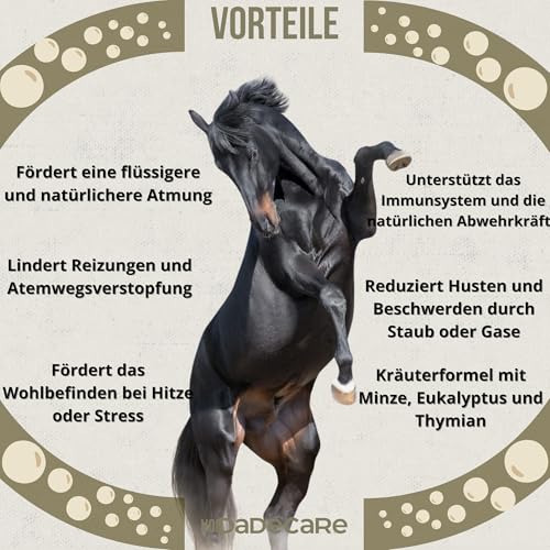 DADECARE Broncare Atemschutzmittel für Pferde, 1 l – Extrakte aus Minze, Eukalyptus, Thymian und Kräutern – Stärkung des Immunsystems und des Wohlbefindens der Lunge – ideal in Umgebungen mit Staub