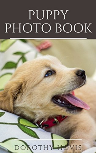 Photo Book Puppy: A Children’s Book About Dogs (English Edition)
