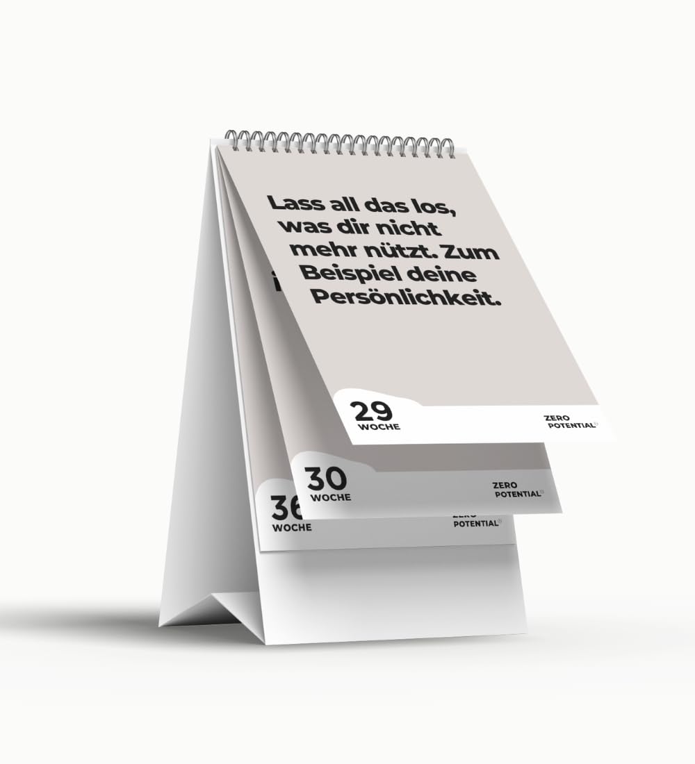 Demotivational Desk Calendar 2025 (Grey, Desk Calendar 2025 German) - Image 4
