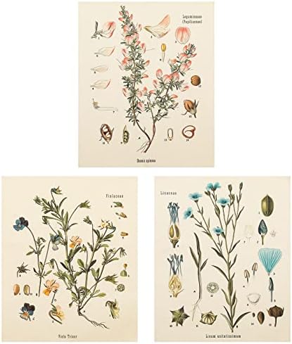 Lourny 3Pcs Flower Tapestry Wall Hanging - Wildflower Plant Floral Fruit Tapestry Butterfly Botanical Small Tapestries for Bedroom Living Room