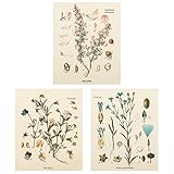 3Pcs Flower Tapestry Wall Hanging - Lourny Wildflower Plant Floral Tapestry Identification Reference Chart Small Tapestry for Bedroom Living Room（Tapestry B, 20 x 24 inches）