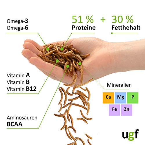 UGF - Premium Mehlwürmer getrocknet 500g, Vogelfutter Wildvögel Ganzjährig, Igelfutter, Eichhörnchen Futter, Hamster Futter