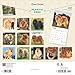 BrownTrout, Chow Chows 2025 Wall Calendar