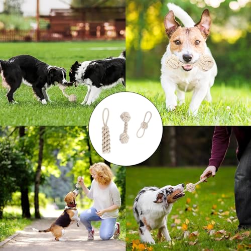 Bull Tiger Prestige 3 Stück Hundespielzeug Seil, Zerrspielzeug für Hunde aus Natürlicher Baumwolle, Interaktive Kauen Spielzeug mit Knoten Ball, Hundeseil Spielzeug für Mittelgroße Hunde kleine