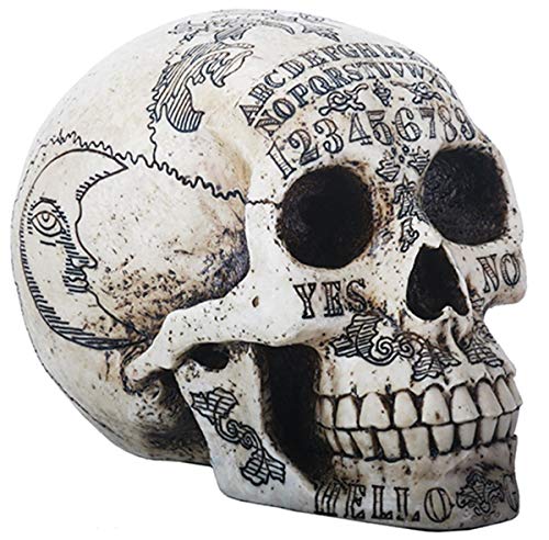 Paranormal Skull Head with Ouija Symbols Collectible Figurine