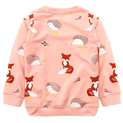 Image of Bumeex Girls Cotton Crewneck Cute Sweatshirts The Hedgehog and The Fox Pink 2-7T