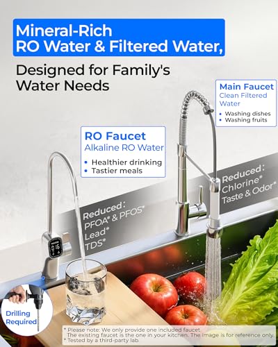 commercial water filtration system pro 72