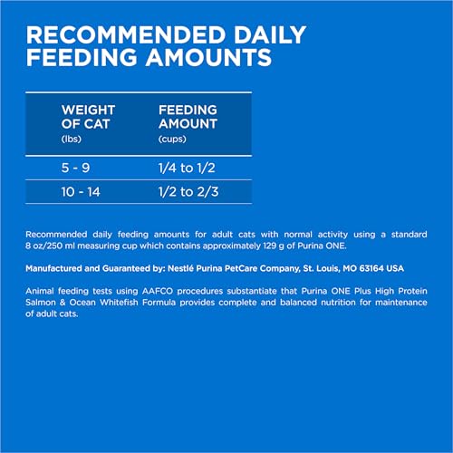 Image of Purina ONE Plus High Protein Cat Food Dry Salmon and Ocean Whitefish Cat Skin and Coat Health Formula - 7 lb. Bag