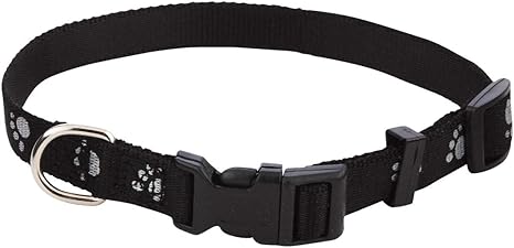 reflective dog accessories