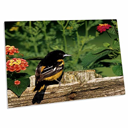 Desk Pad 3dRose Baltimore Oriole 58x40 cm miniatura 1