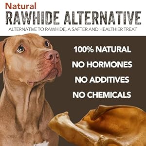 Gaines Pet Pig Ears for Dogs Thick Cut All Natural Whole Ears No Additives Or Hormones Safe Rawhide Alternative Dental Health Easy to Digest Great for Small to Large Dogs 40 Count