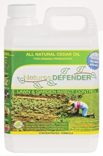 NATURES DEFENDER LAWN & GARDEN CONCENTRATE 2000ml Natural Insect ...