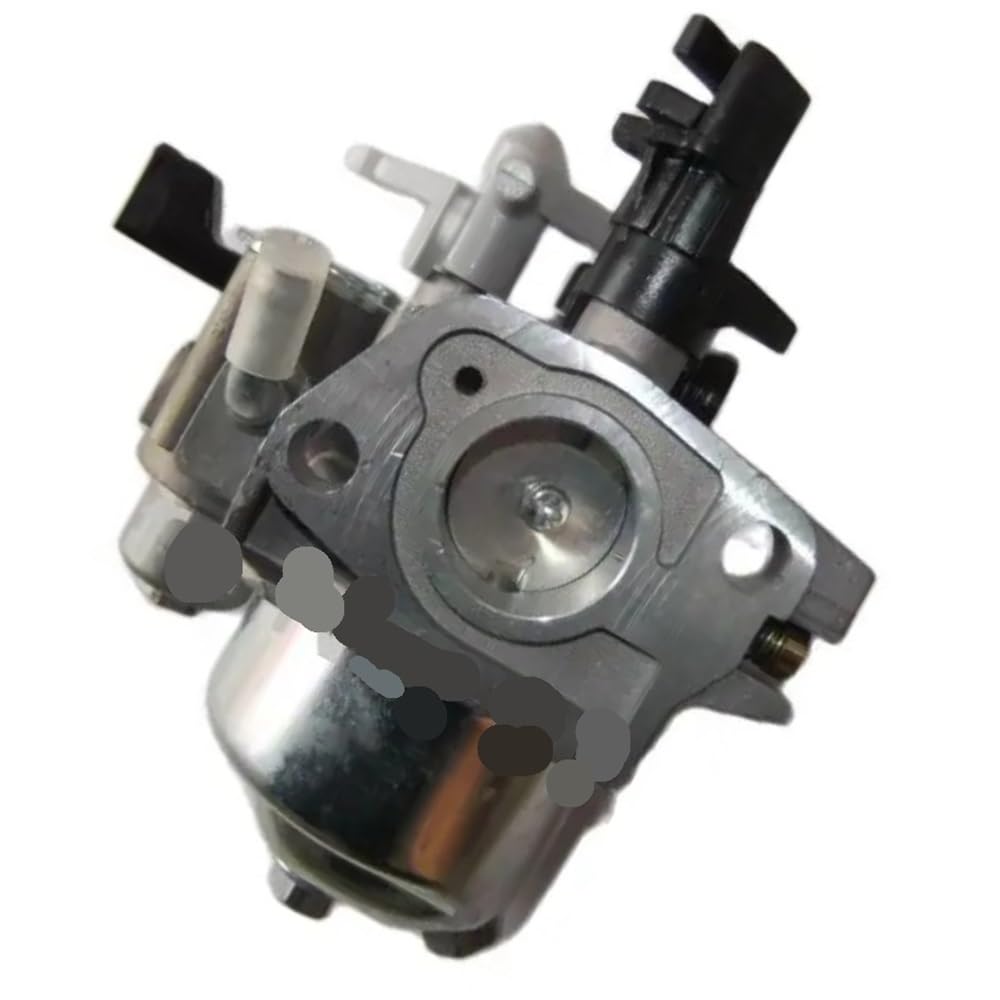 Pljyocdo One Color Engine Carburetor Fit For P19 168F 6.5Hp