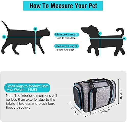 Siivton Airline Approved Pet Carrier — lifestyle photo