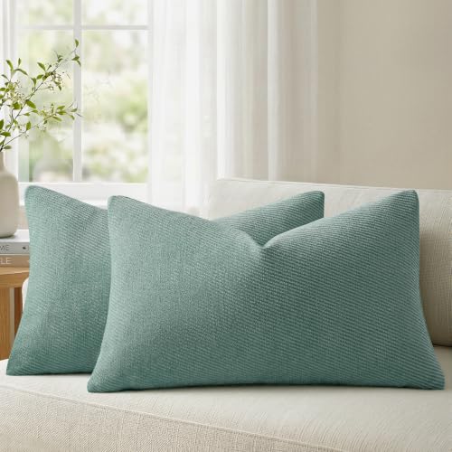 Image of a moment Pack of 2 Decorative Chenille Throw Pillow Covers with Twill Cushion Covers for Sofa Living Room Couch Bed 20x12 Inch Teal