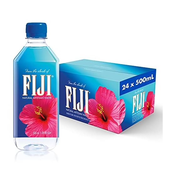 
                            FIJI Natural Artesian Water, 16.9 Fl Oz Bottle (Pack of 24)
                        