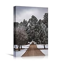 Canvas Wall Art Winter Trees Cool Dramatic Forest Multicolor Nature Photography Rustic - 12x18 inches
