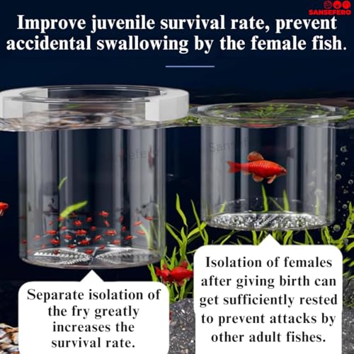 Image of SANSEFERO Floating Breeder Box for Fish Tank in Double Layer Foam Collar Floating Incubator for Aquarium with Clear View Fry Protection Fish Breeder Box for Betta,Guppy & Small Fishes (12 Cm)
