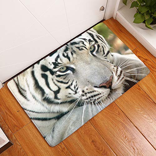 Preisvergleich Produktbild Drucken Waschbare Fußmatten Matten Küchentoiletten wasserdichte Antirutschmatten Tiger Mats 08 40x60cm