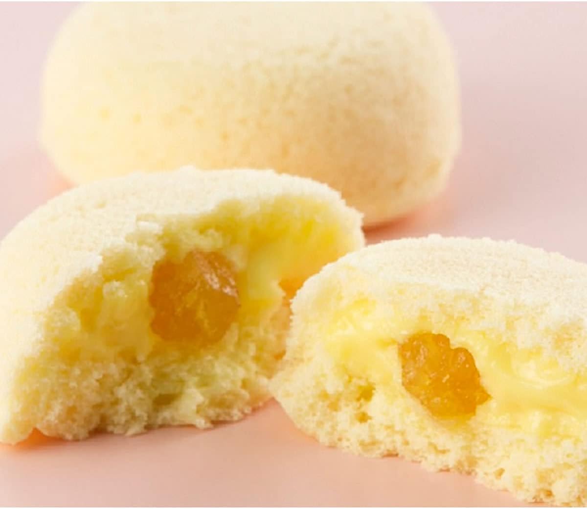 ラグノオささき ラグノオ カスタードケーキ いのち りんご 55g×10 ケーキ 洋菓子 東京